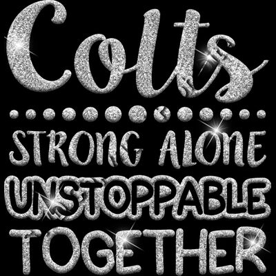 GLT87 SILVER GLITTER Thumbnail